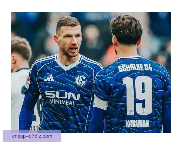 哲科披沙尔克10号48体检